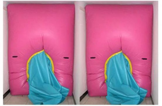 點(diǎn)擊查看詳細(xì)信息<br>標(biāo)題：快速封堵氣囊 閱讀次數(shù)：2737