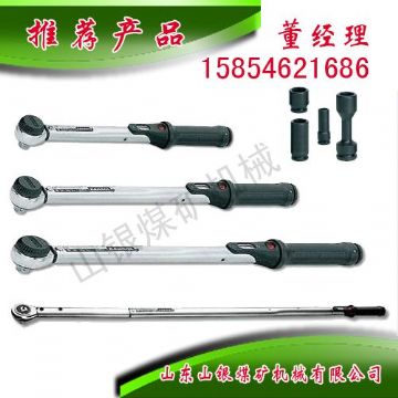 點(diǎn)擊查看詳細(xì)信息<br>標(biāo)題：顯示扭力扳手 閱讀次數(shù)：1924