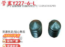 點(diǎn)擊查看詳細(xì)信息<br>標(biāo)題：英格索蘭隔膜泵配件管塞Y227-6-L 閱讀次數(shù)：355