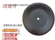 點(diǎn)擊查看詳細(xì)信息<br>標(biāo)題：氣動(dòng)隔膜泵配件-隔膜片 閱讀次數(shù)：311